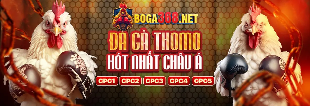 Sòng bạc trực tuyến K8vina Win đẳng cấp