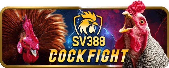 Cá cược thể thao K8vina Win
